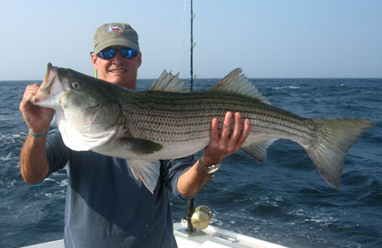 Click here for Striped bass fishing Trips